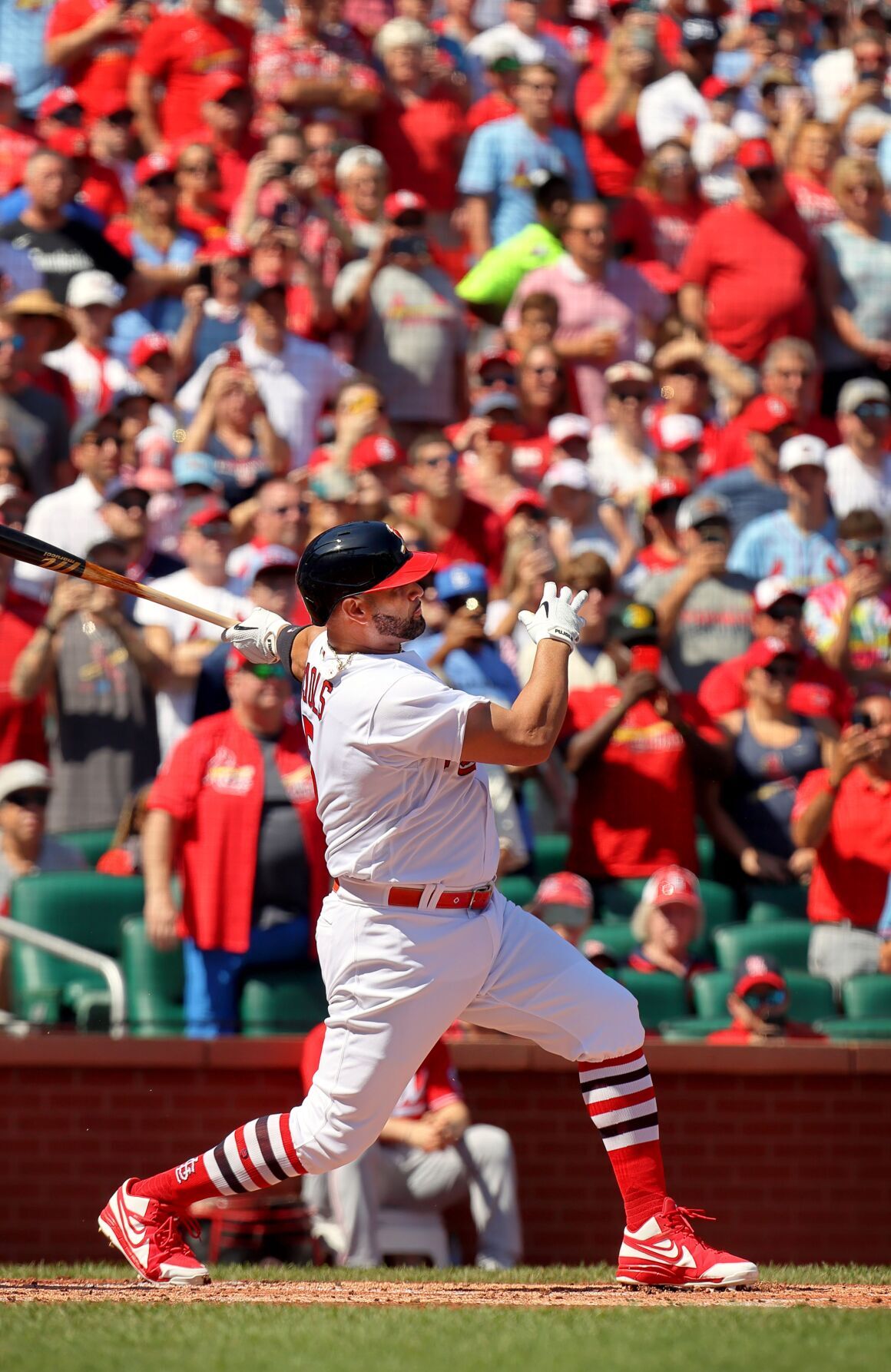 Cincinnati Reds vs St. Louis Cardinals